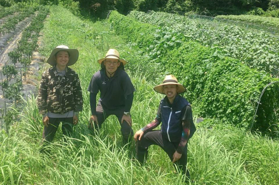 有機栽培 糸島の旬野菜セット｜Sサイズ