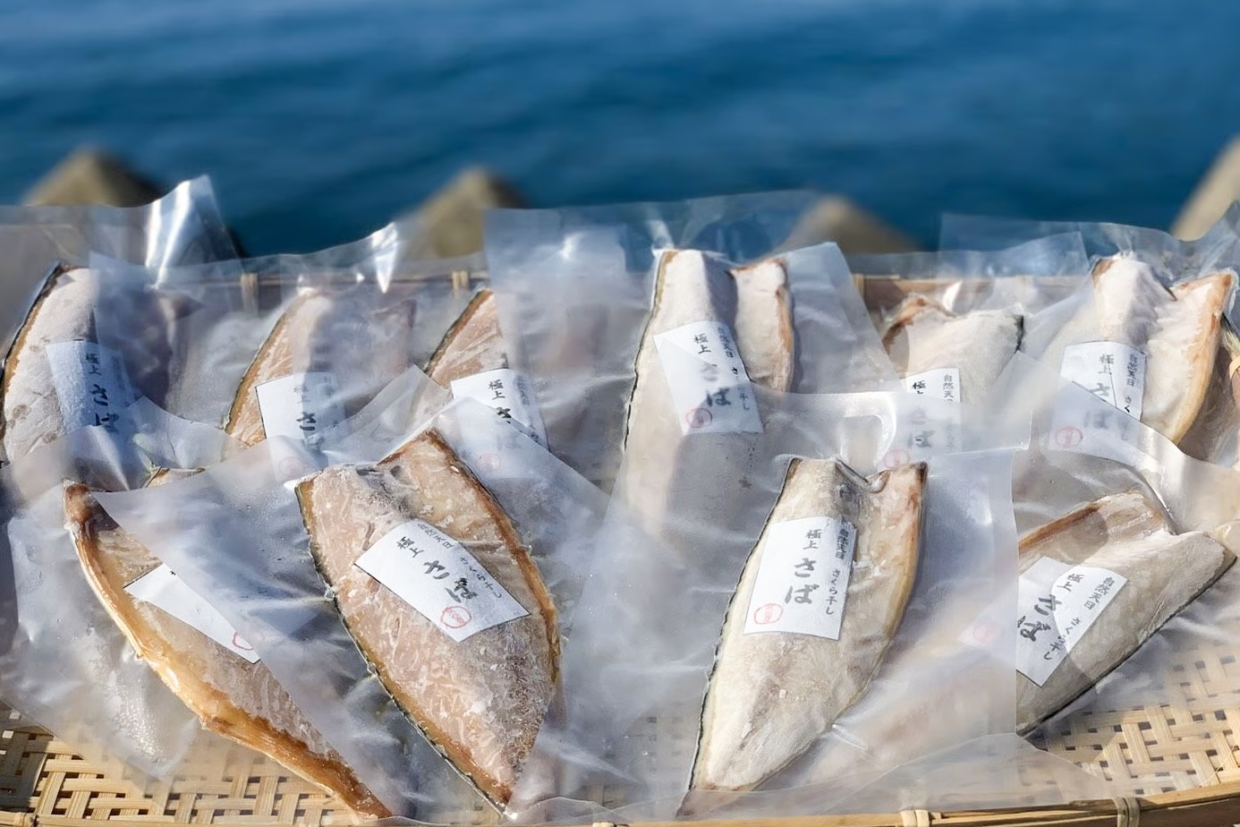 【月替わりおまかせ】旬の魚と野菜・フルーツの詰め合わせ OSAKANA BOX｜Lサイズ