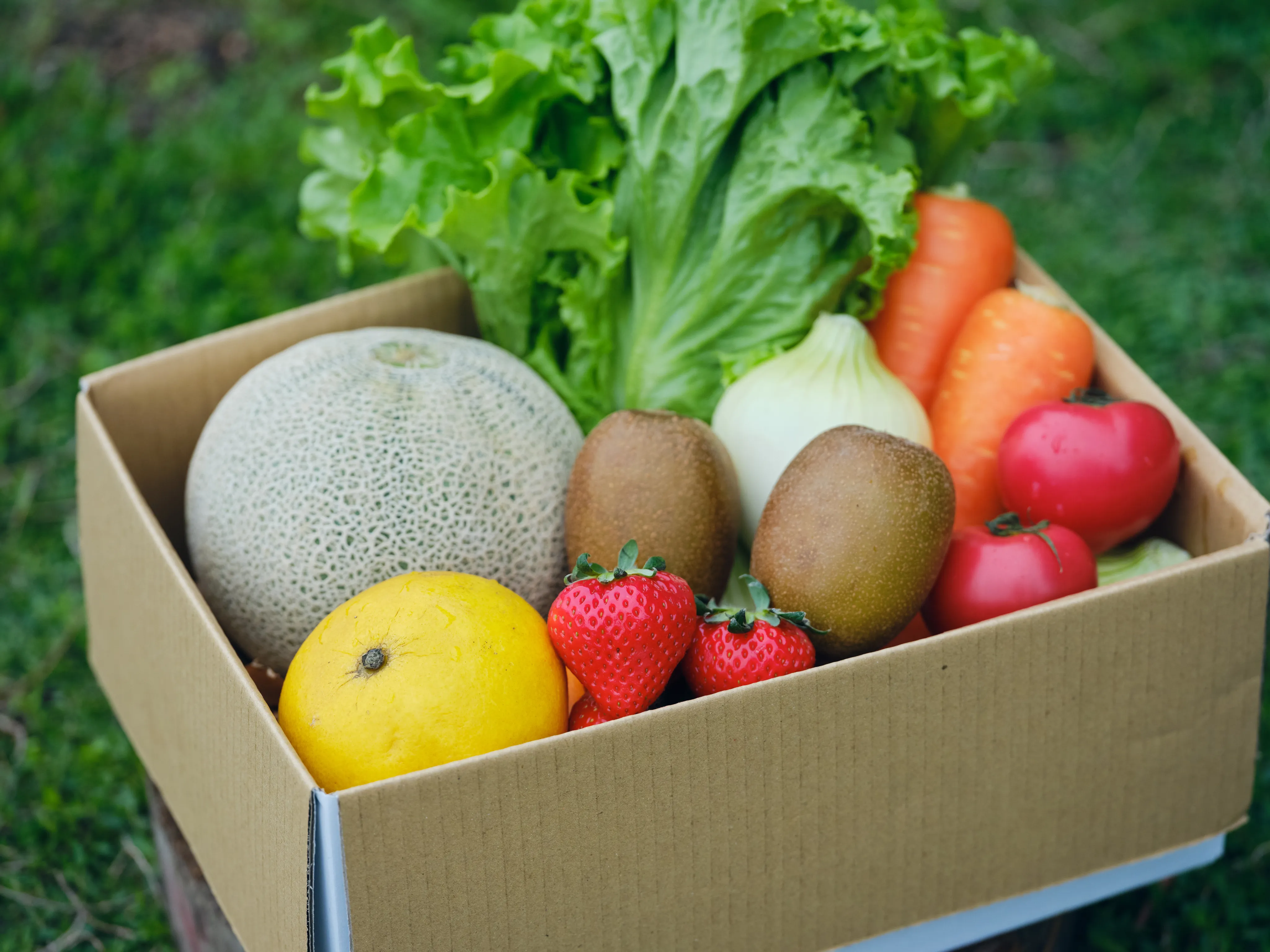 MINORI BOX 旬の野菜