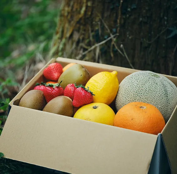 FRUIT BOX