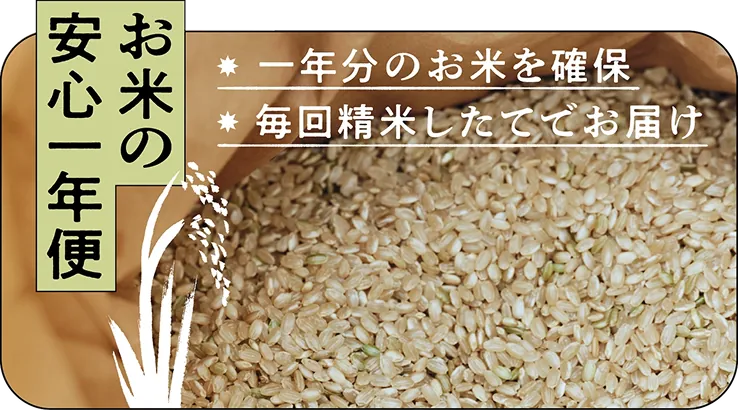 お米の安心一年便