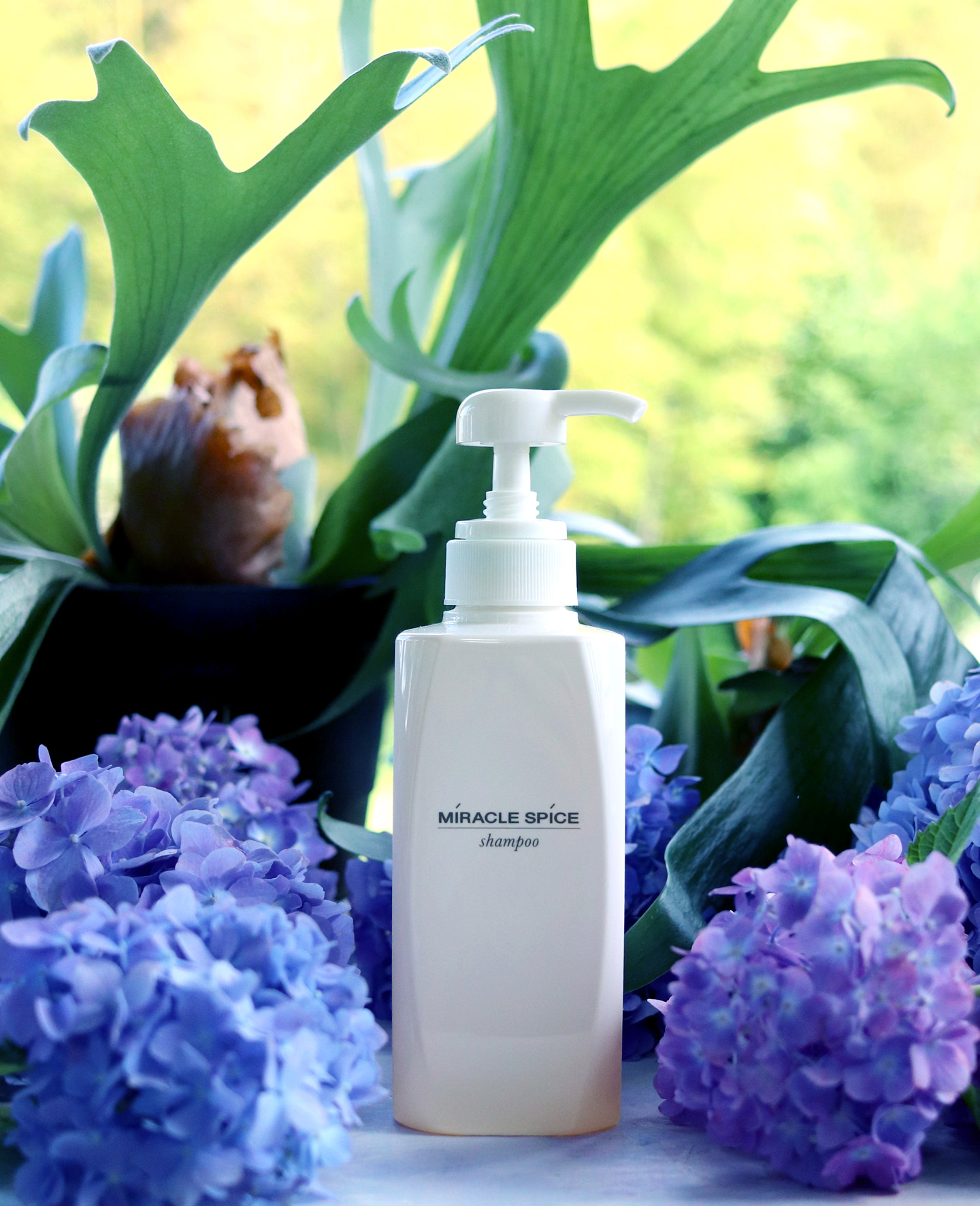 プラスワンセット