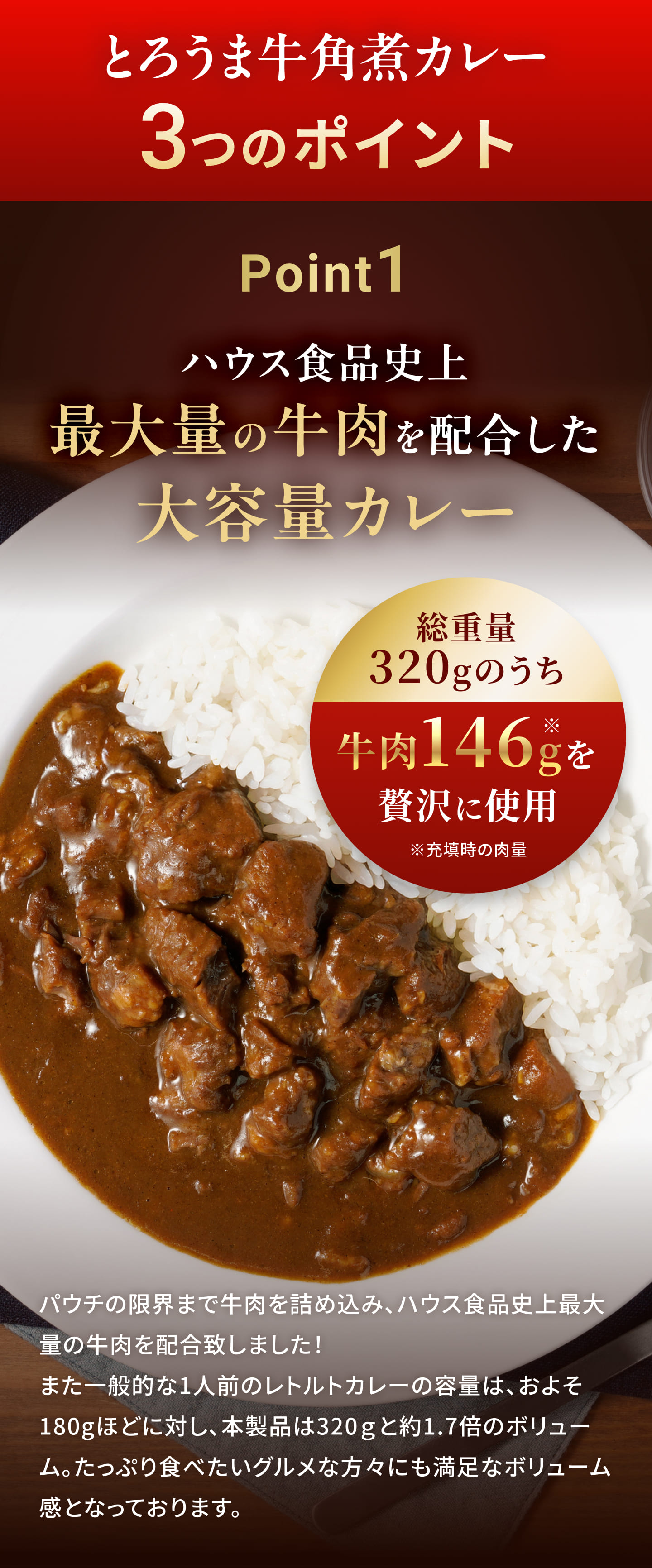 とろうま牛角煮カレー３つのポイントPoint１