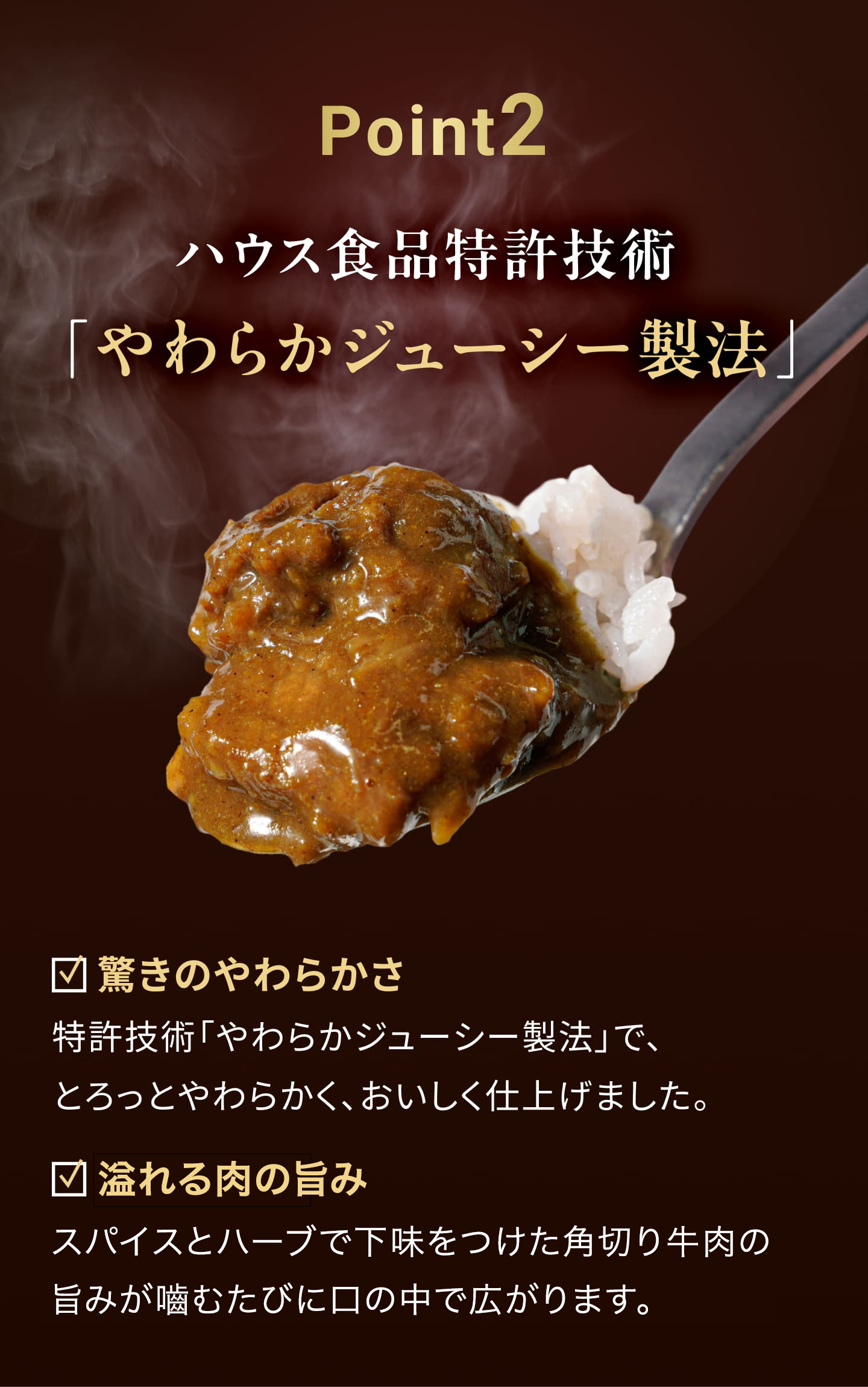 とろうま牛角煮カレー３つのポイントPoint2