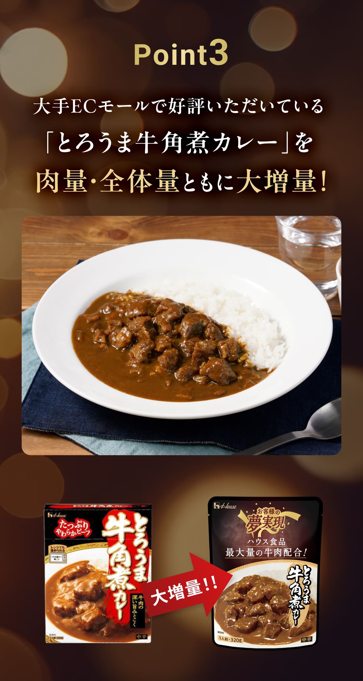 とろうま牛角煮カレー３つのポイントPoint3