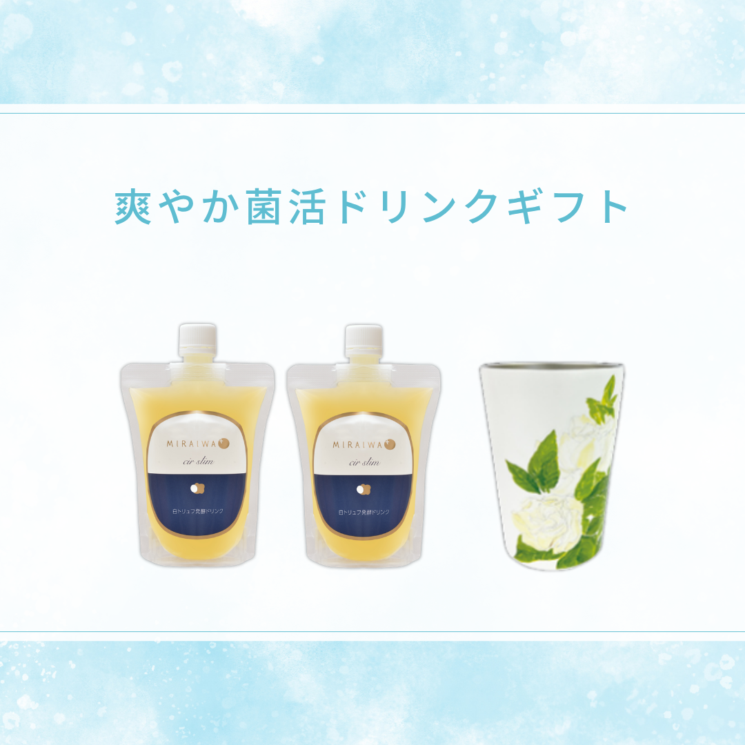 爽やか菌活ドリンクギフト