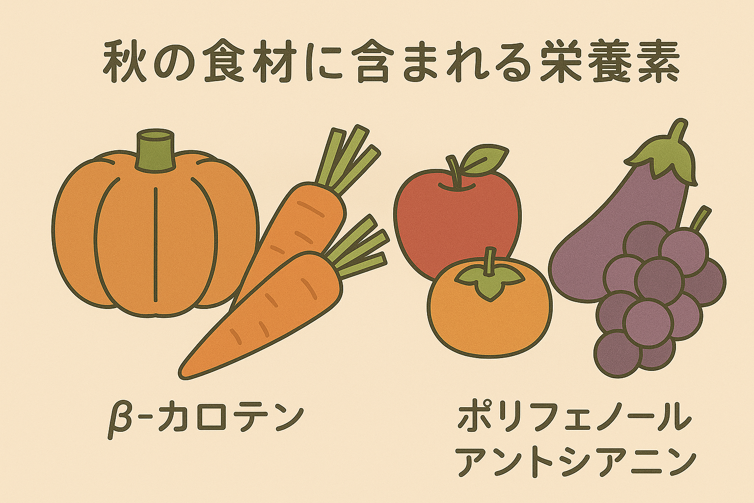 秋野菜の栄養成分