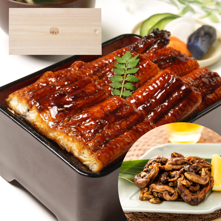 ＜桐箱＞超特大280g 鹿児島県産 うなぎ蒲焼き（1尾）+うなぎ肝焼き