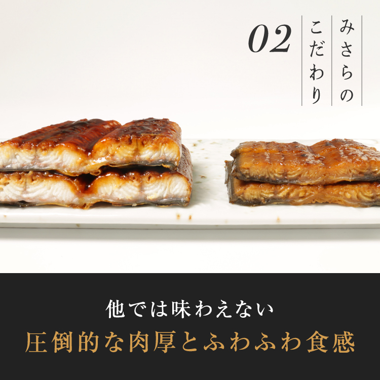 ＜桐箱＞超特大280g 鹿児島県産 うなぎ蒲焼き（1尾）+うなぎ肝焼き