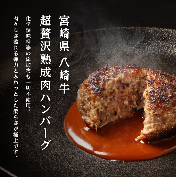 宮崎 八崎牛ローストビーフ（2個）＋ハンバーグ（3個）セット