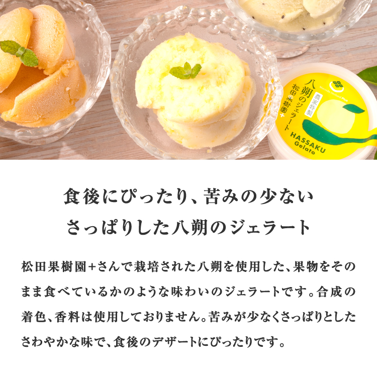 鹿児島県産 特大うなぎ蒲焼き（2尾）＜3〜6人前＞+特製ジェラート（八朔×4個）
