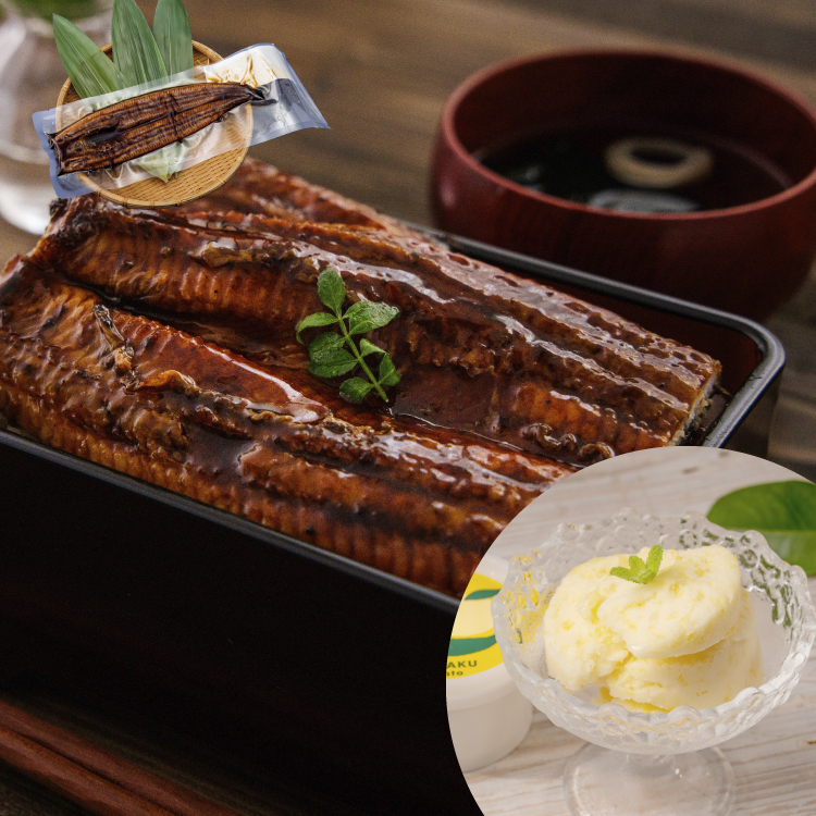 鹿児島県産 特大うなぎ蒲焼き（1尾）+特製ジェラート（八朔×4個）