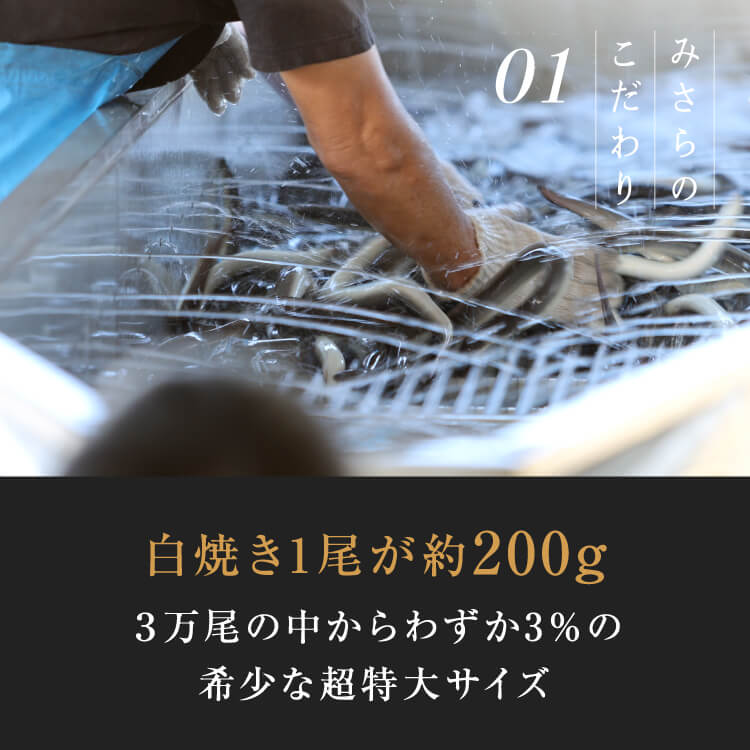 炭火うなぎ白焼き（2尾）＜3~5人前＞&ジェラートプレゼント