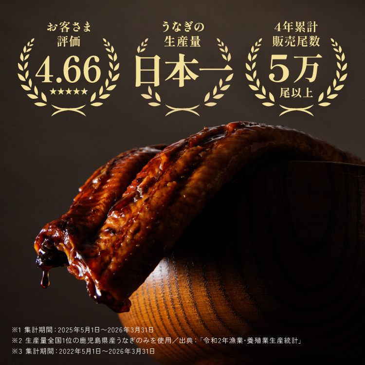 鹿児島県産 特大うなぎ蒲焼き（3尾）＜6〜9人前＞