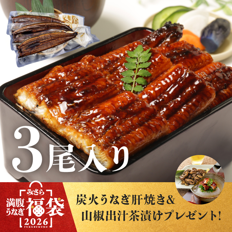 〈超特大280g〉うなぎ蒲焼き 福袋（3尾）