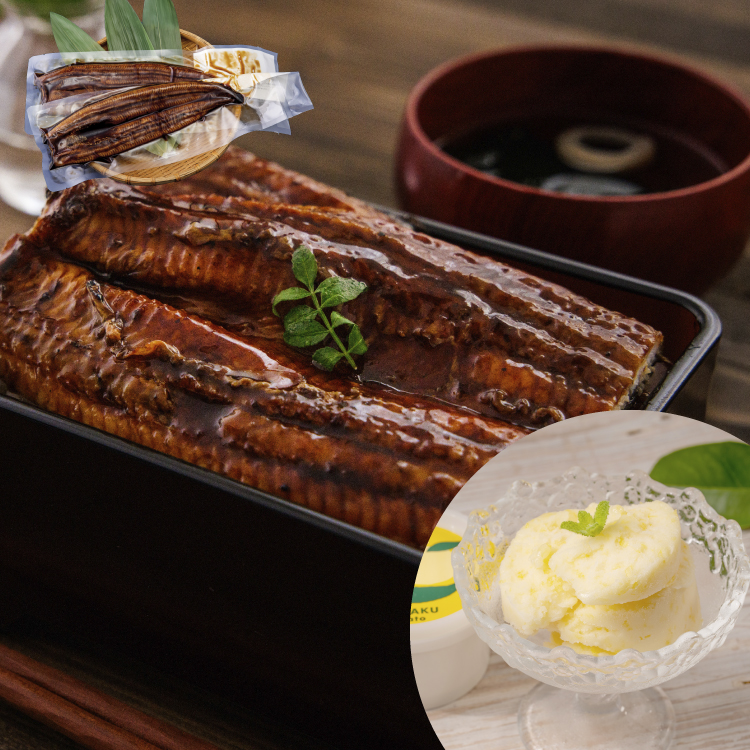鹿児島県産 特大うなぎ蒲焼き（2尾）＜3〜6人前＞+特製ジェラート（八朔×4個）