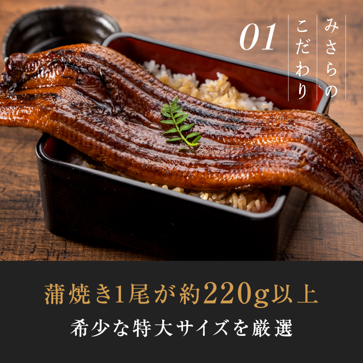 鹿児島県産 特大うなぎ蒲焼き（1尾）+特製ジェラート（八朔×4個）