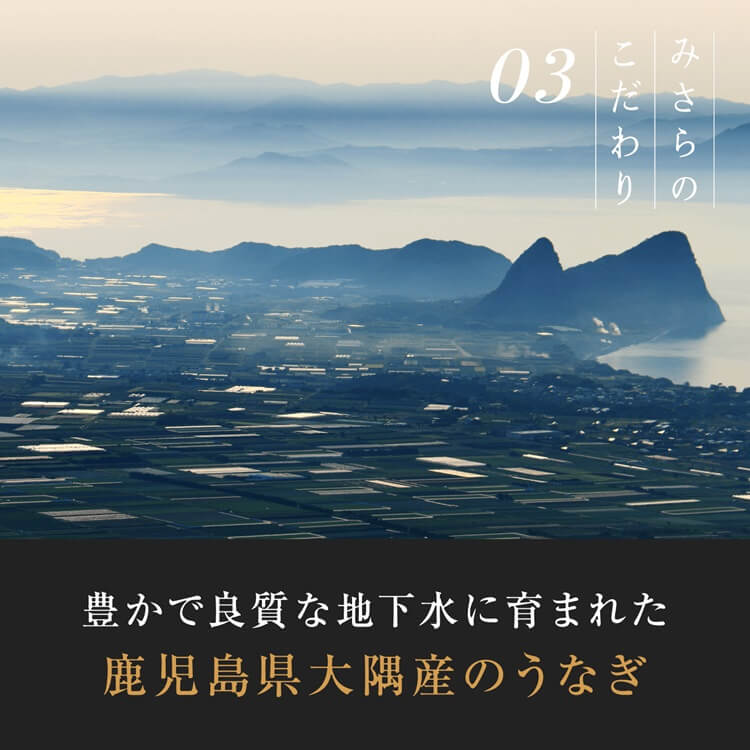 鹿児島県産 特大うなぎ蒲焼き（1尾）+特製ジェラート（八朔×4個）