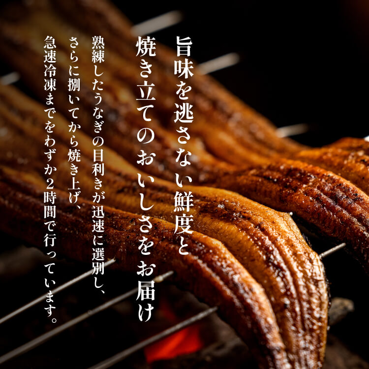 〈超特大280g〉うなぎ蒲焼き 福袋（3尾）