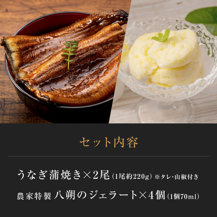 鹿児島県産 特大うなぎ蒲焼き（2尾）＜3〜6人前＞+特製ジェラート（八朔×4個）