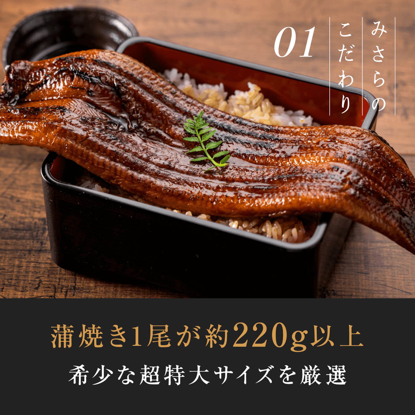 うなぎ蒲焼き（1尾）＜1~3人前＞