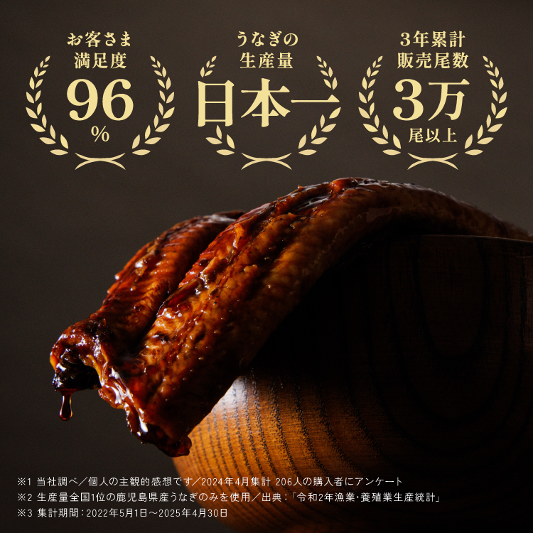 〈超特大280g〉うなぎ蒲焼き 福袋（1尾）