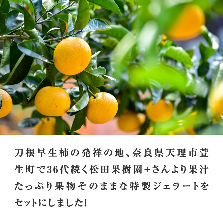 鹿児島県産 特大うなぎ蒲焼き（2尾）＜3〜6人前＞+特製ジェラート（八朔×4個）