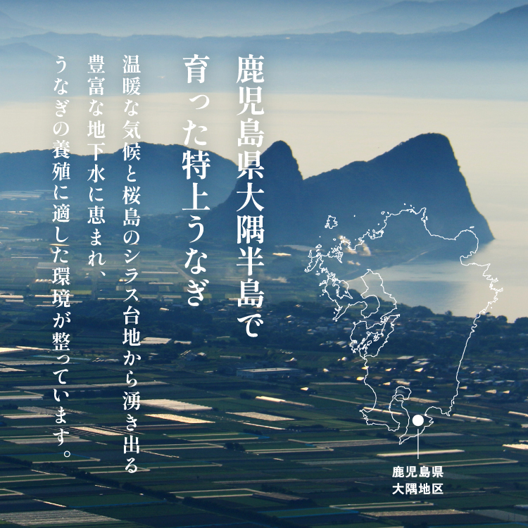 〈超特大280g〉うなぎ蒲焼き 福袋（2尾）