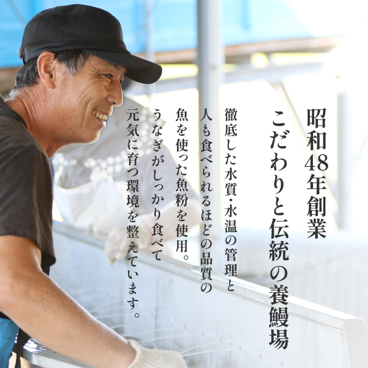 〈超特大280g〉うなぎ蒲焼き 福袋（1尾）