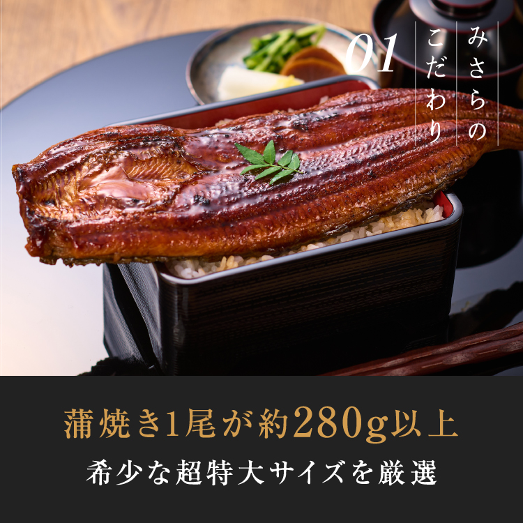 ＜桐箱＞超特大280g 鹿児島県産 うなぎ蒲焼き（1尾）+うなぎ肝焼き
