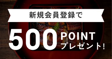 新規会員登録で500POINTPOINTプレゼント!