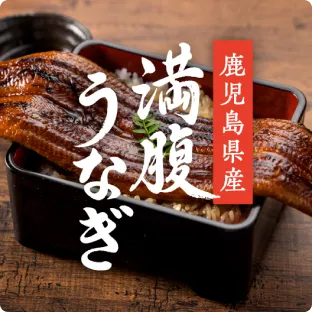 鹿児島県産満腹うなぎ