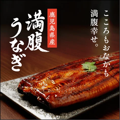 鹿児島県産 満腹うなぎ