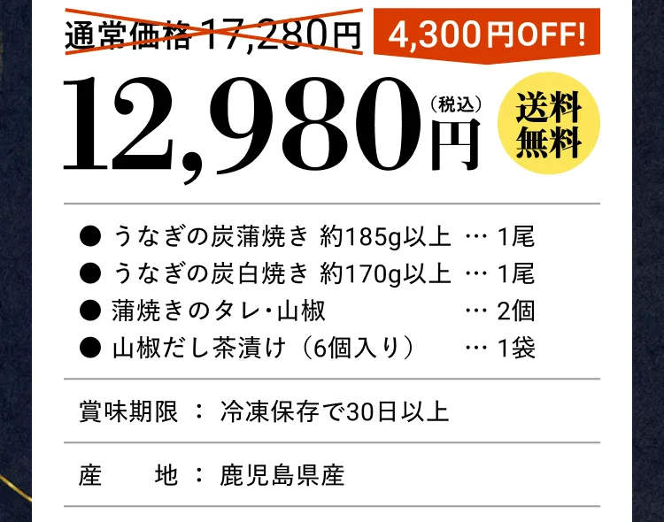 12,980円（税込） 送料無料