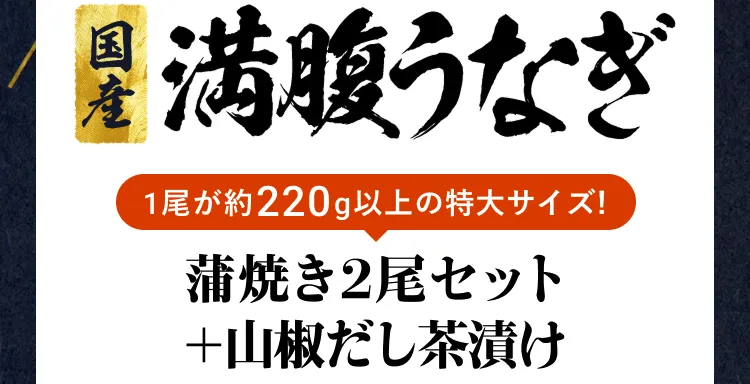 国産満腹うなぎ 蒲焼き2尾＋山椒だし茶漬け 3,240円OFF！