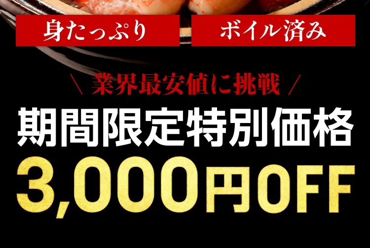 期間限定特別価格 3,000円OFF