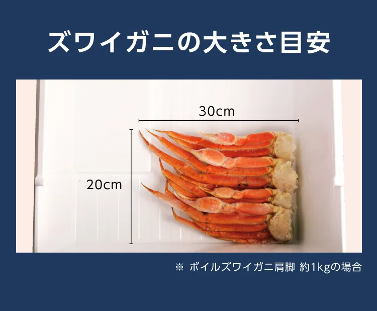 ズワイガニの大きさ目安