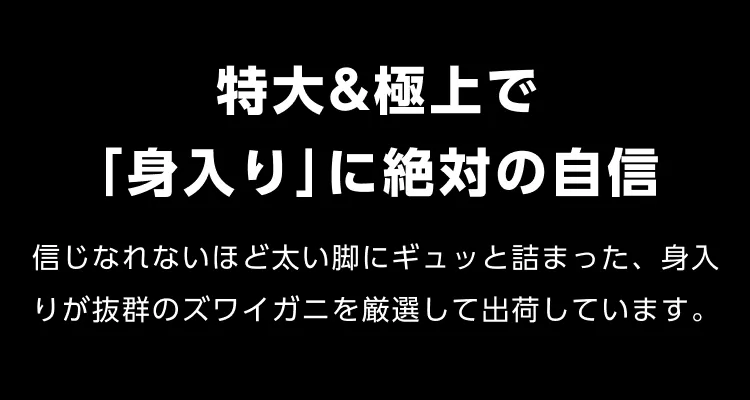 01 特大&極太で「身入り」に絶対の自信