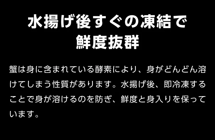 02 水揚げ後すぐの凍結で鮮度抜群