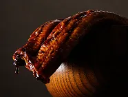 超特大うなぎ 満腹うなぎみさら