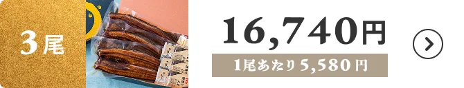 3尾 16,740円 1尾あたり5,580円