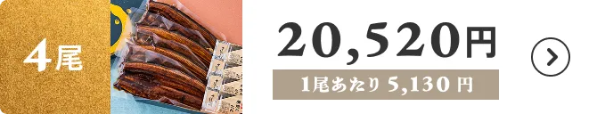 4尾 20,520円 1尾あたり5,130円