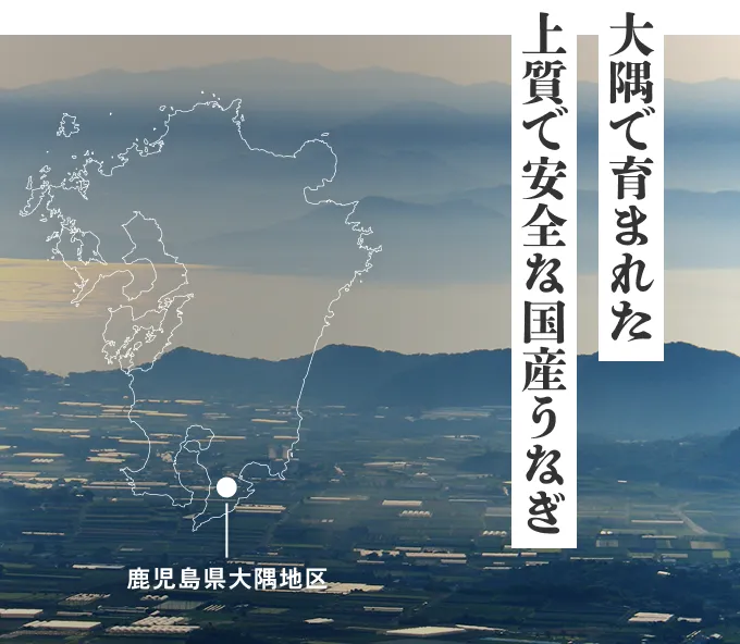 大隅で育まれた 上質で安全な国産うなぎ