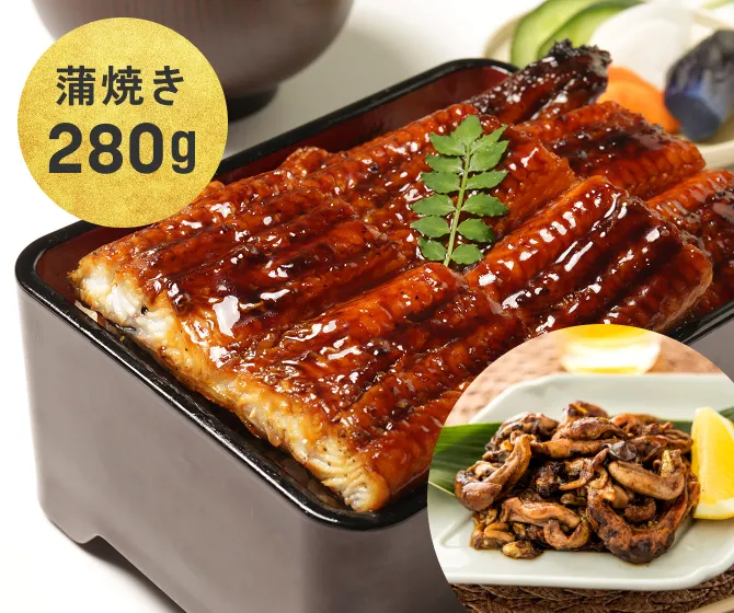 【ポイント10倍】＜超特大280g＞鹿児島県産 うなぎ蒲焼き（1尾）+うなぎ肝焼き