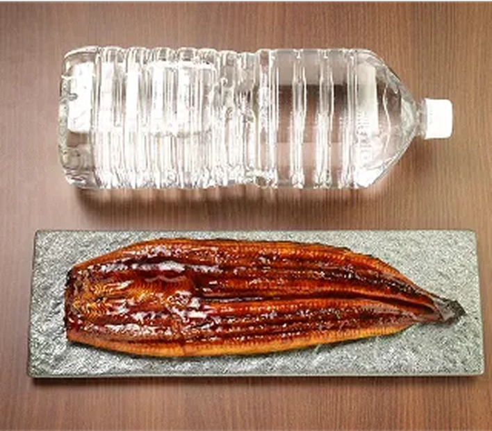 ペットボトルと満腹うなぎの比較図