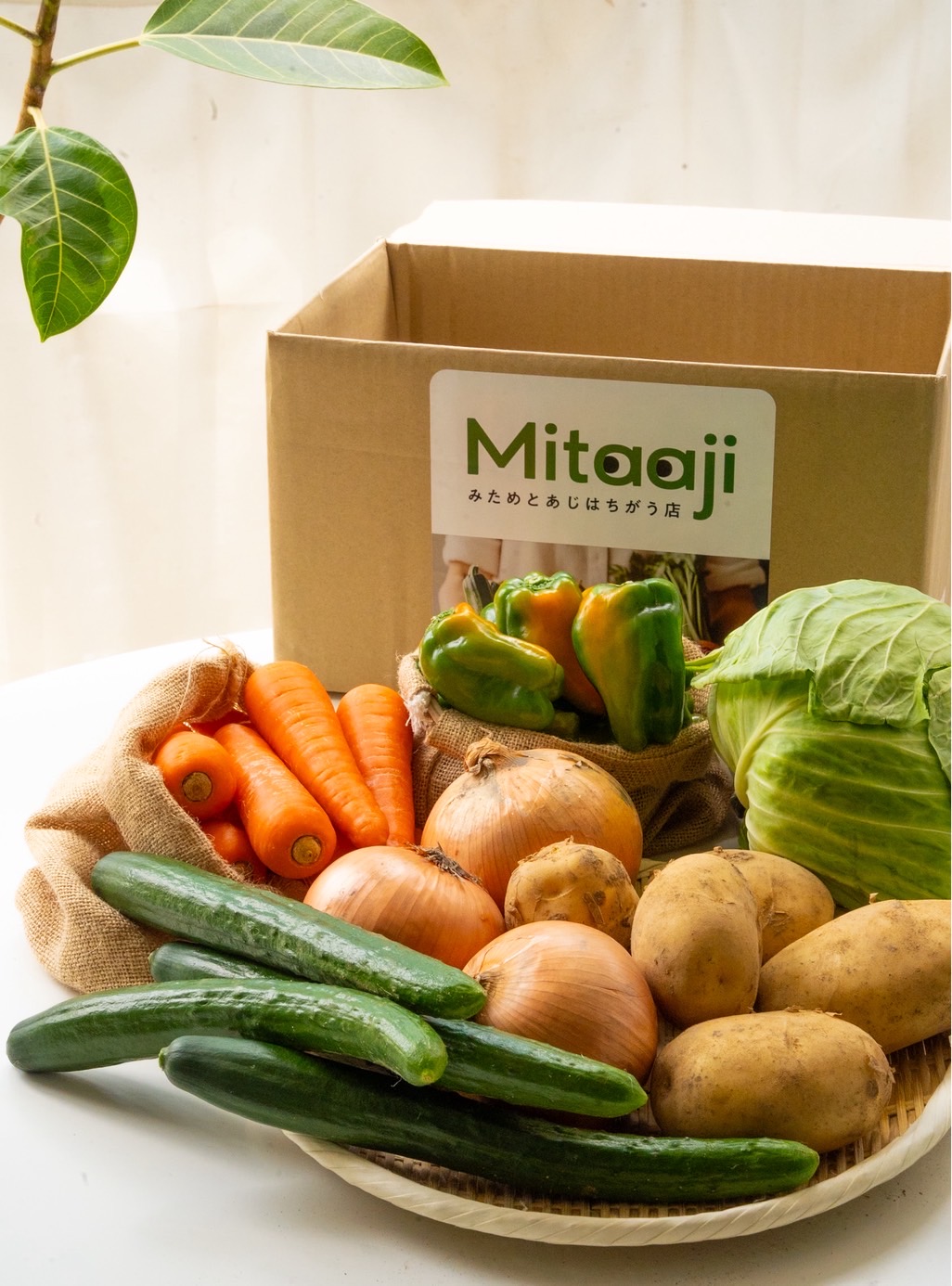 いつものお野菜便(常備野菜)ー定期便ー