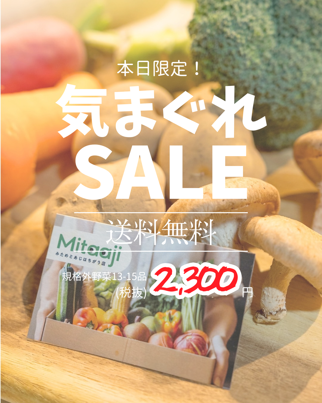 気まぐれセール　2,300円　(送料無料)