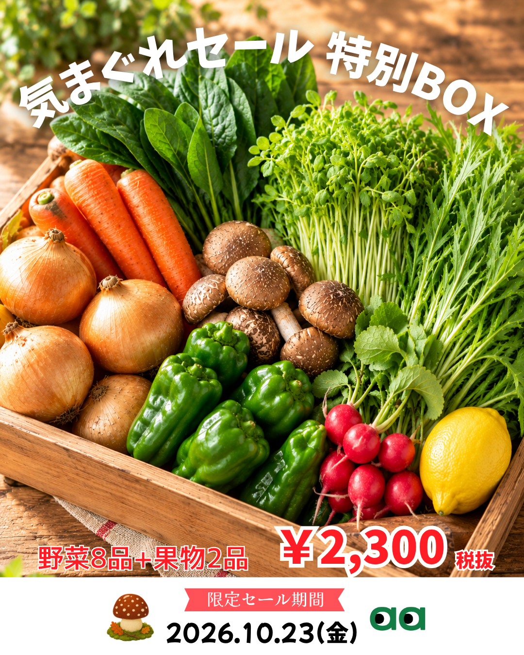 気まぐれセール特別BOX