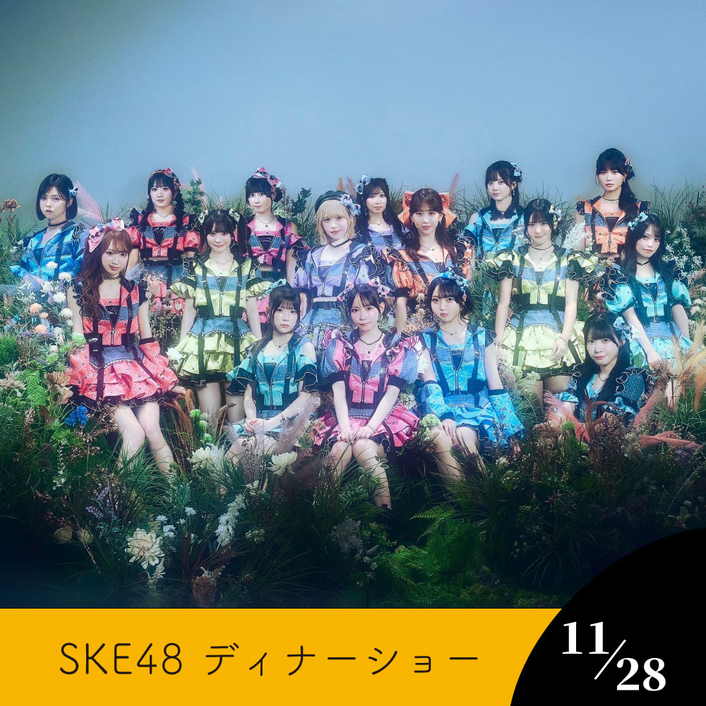 【11月28日】SKE48ディナーショー 券種: 【一般席】大人 おひとり様