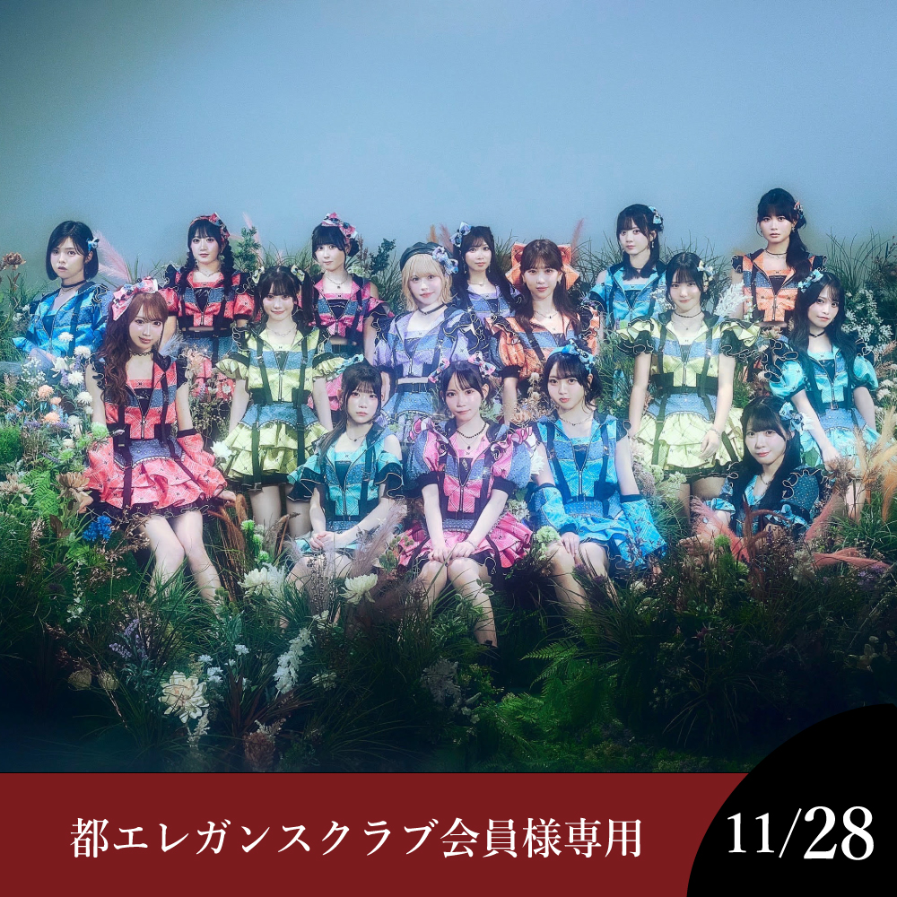 【都エレガンスクラブ会員様専用】【11月28日】SKE48ディナーショー